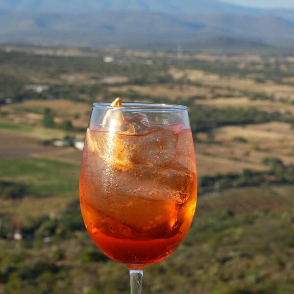 El Mirador Wine & Cocktail Bar El Lobo 10