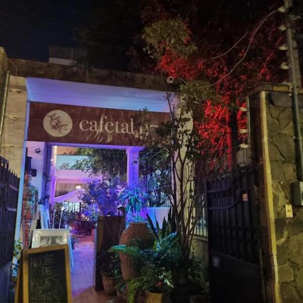 Cafetal 97 Guadalajara 5