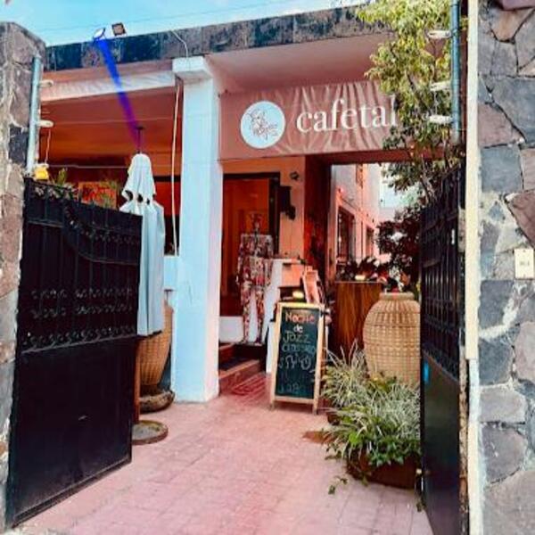 Cafetal 97 Guadalajara - foto 1