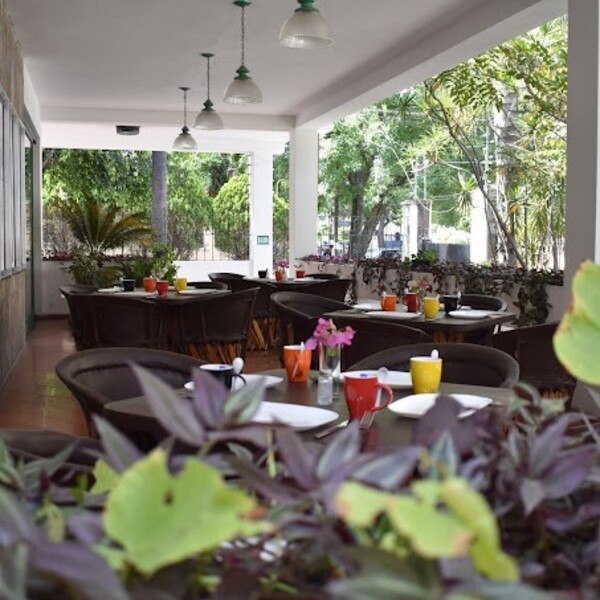 Cafetal 97 Guadalajara - foto 3