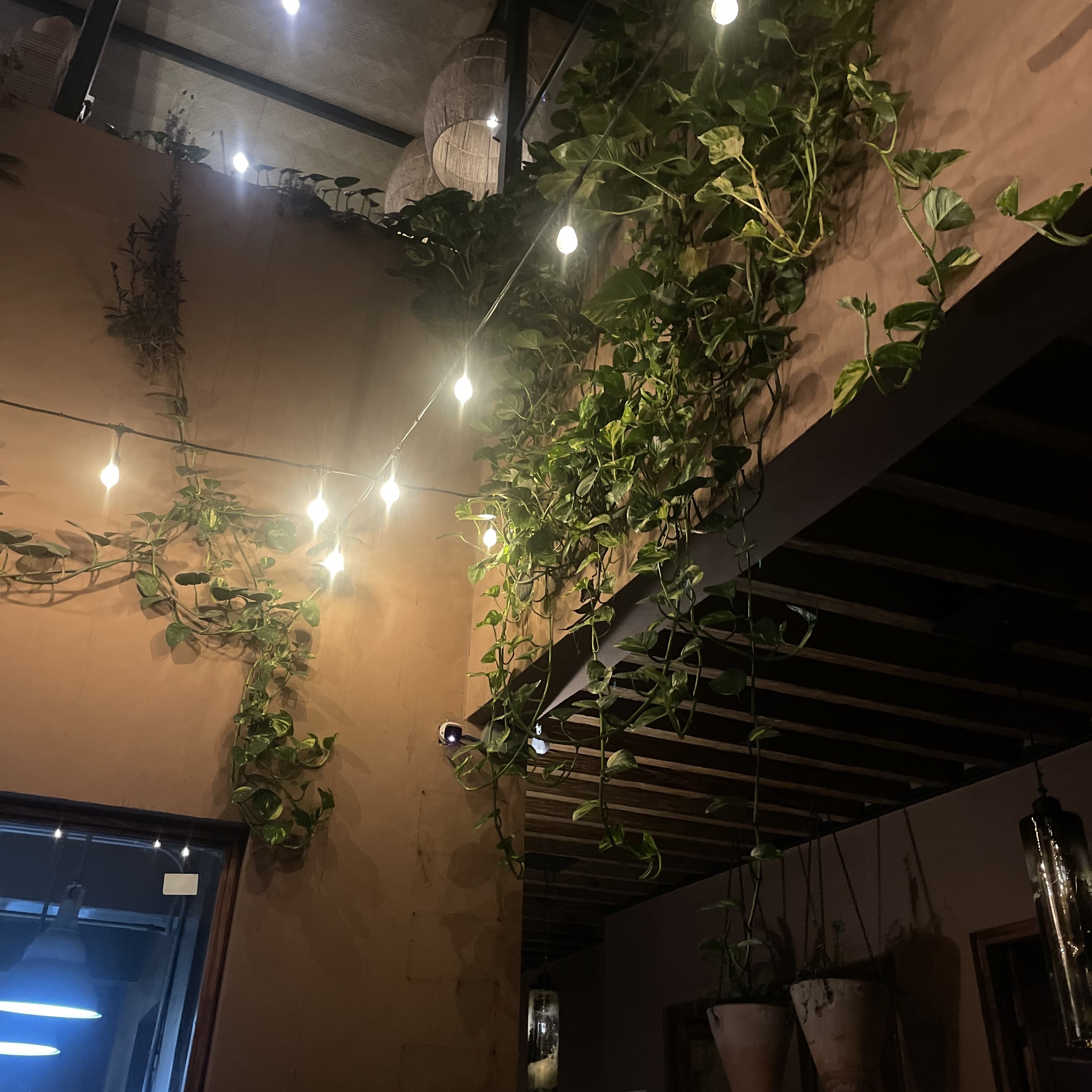 Carola Terraza Querétaro  11