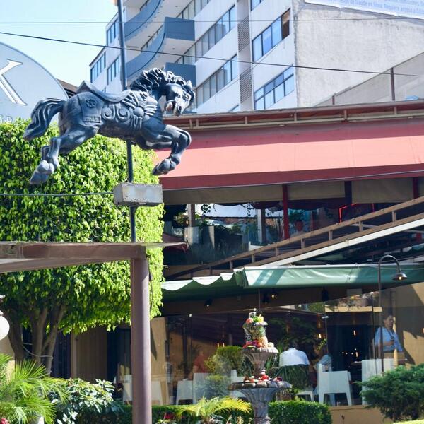 TK Terraza Grill Naucalpan  12