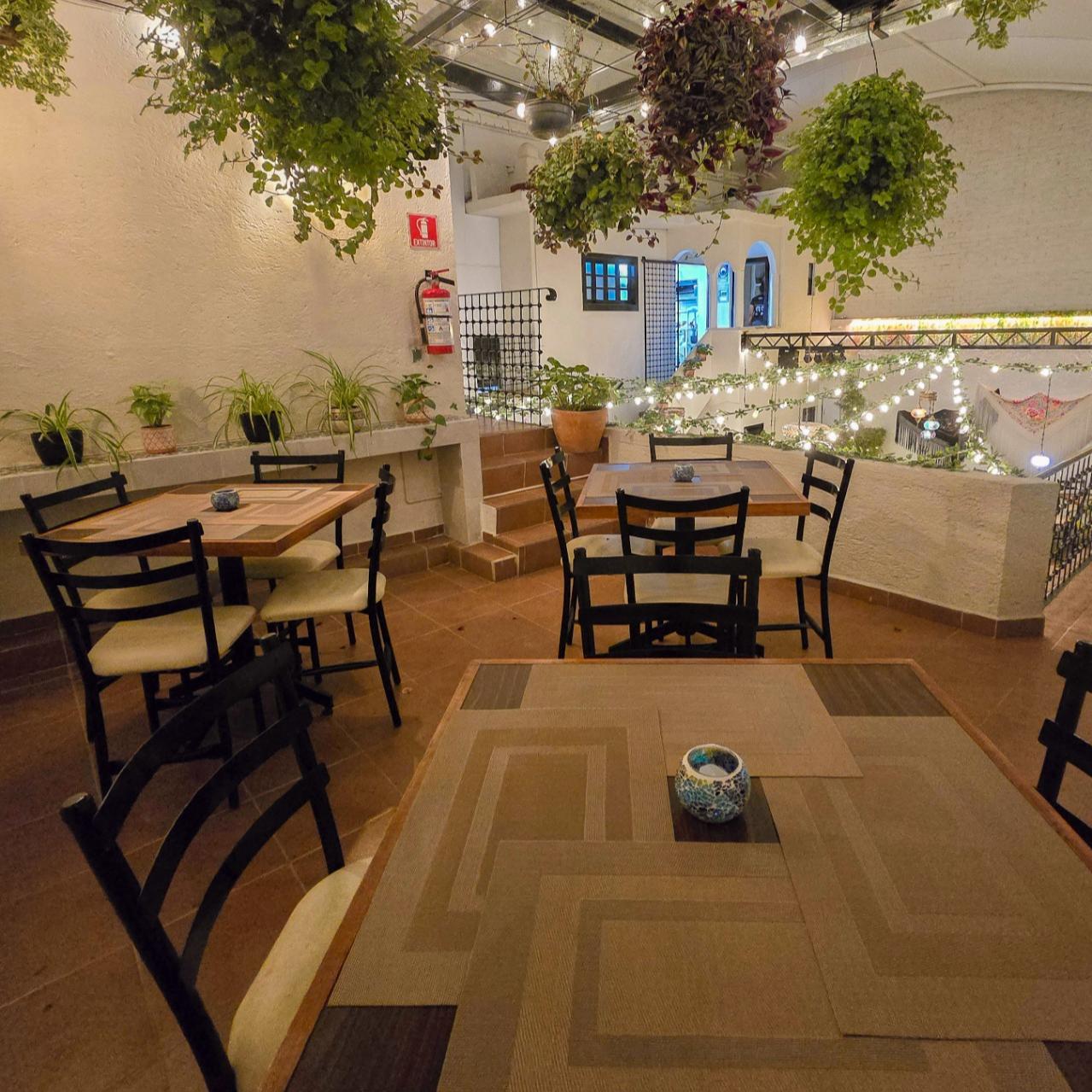Rincón de Santiago Restaurante CDMX 19