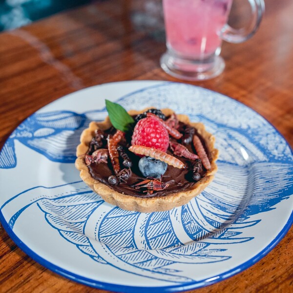 Xicatana Cantina Mezcalera Oaxaca 14