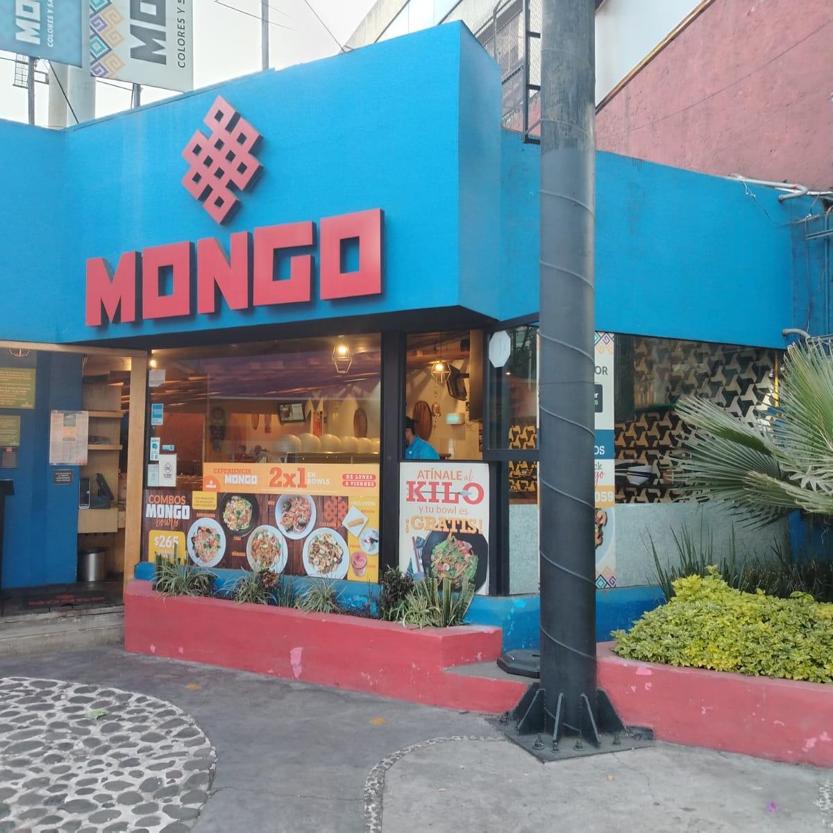 Mongo Tlalpan 12