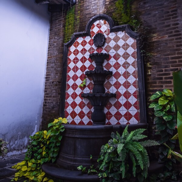 La Lola Coatepec 20