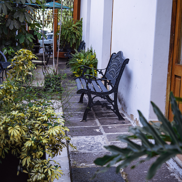 La Lola Coatepec 19