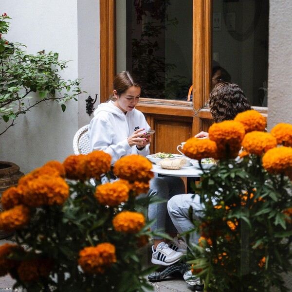 Maratea Coyoacán 8