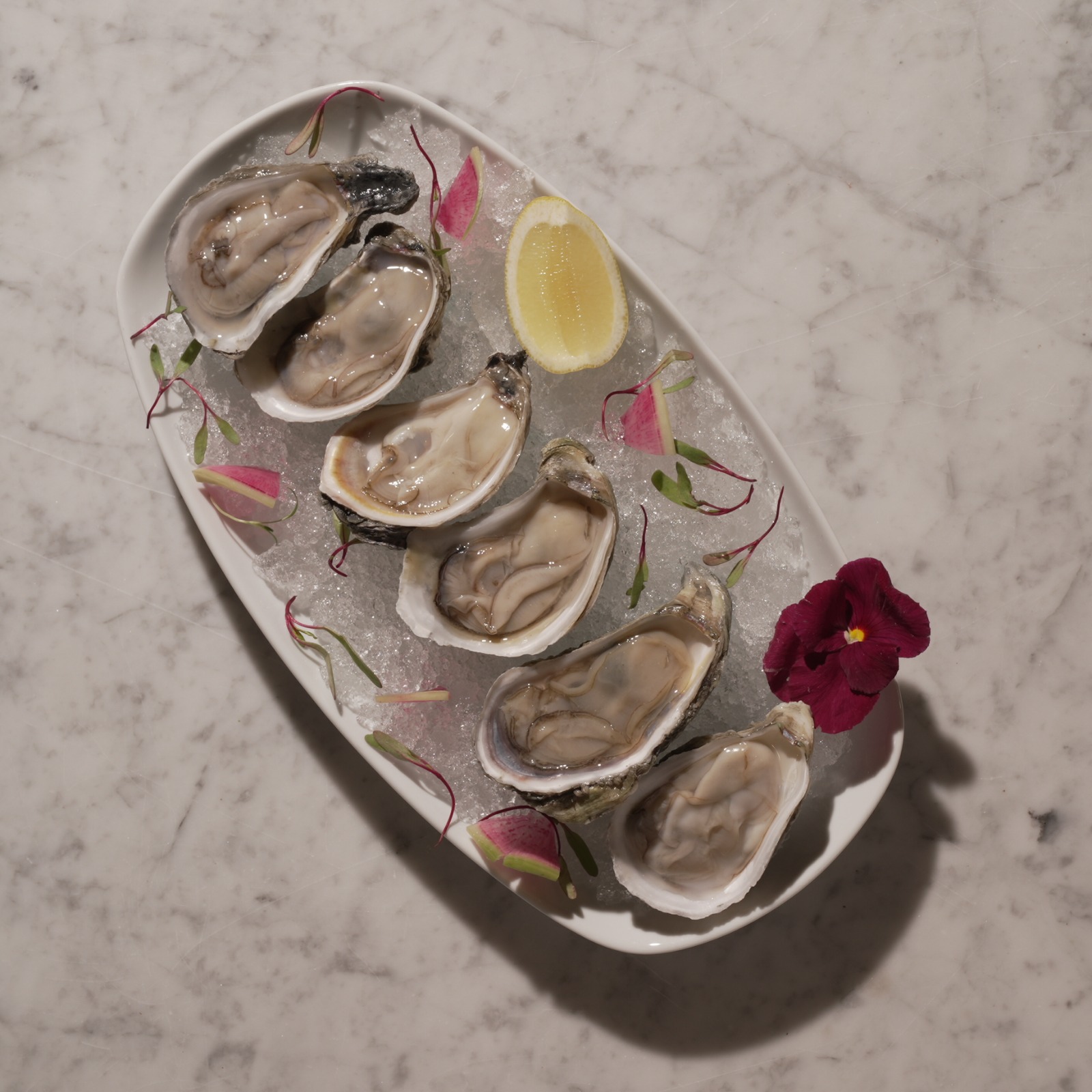 Marjul Oyster Bar Naucalpan 14