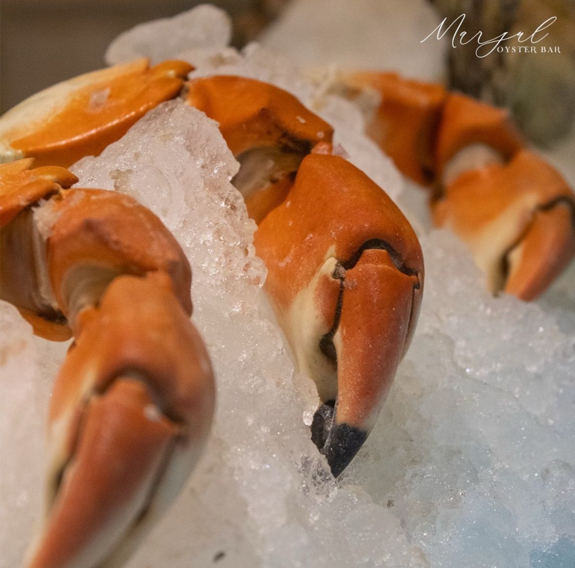 Marjul Oyster Bar Naucalpan 24