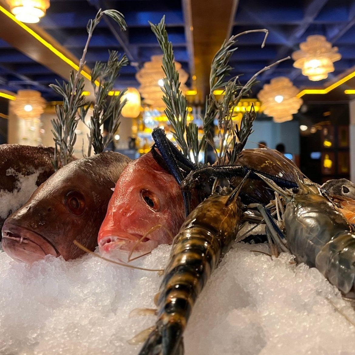 Marjul Oyster Bar Naucalpan 11