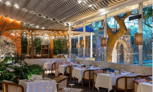 Alaia Terraza San Ángel
