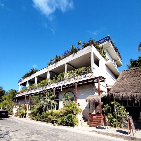 Agave Restaurant & Beach Club 18