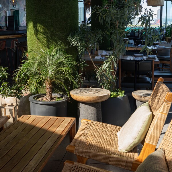 Cabuya Rooftop Condesa 16