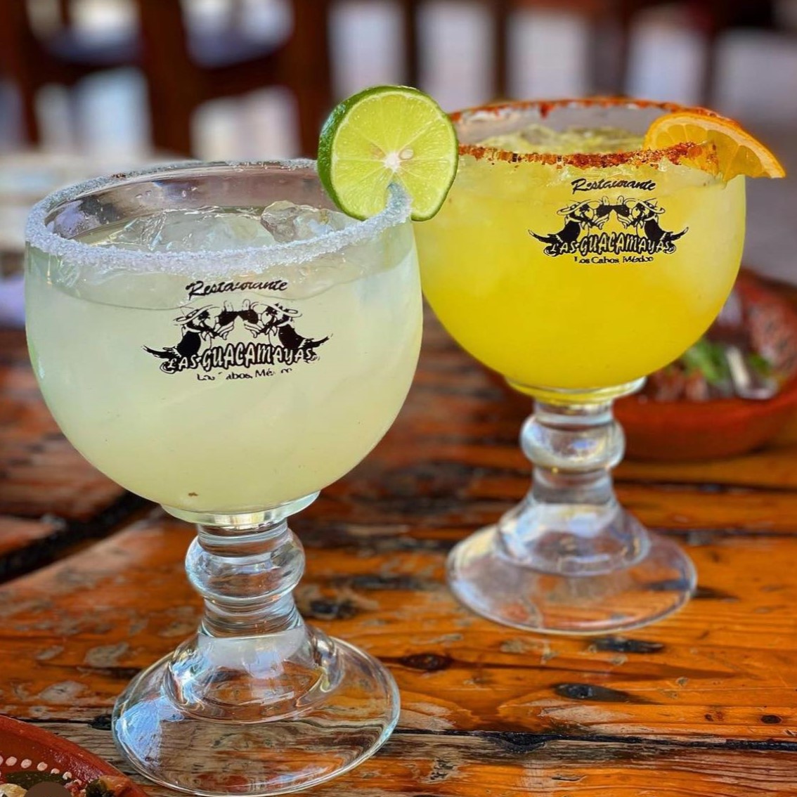 Las Guacamayas Cabo San Lucas 15
