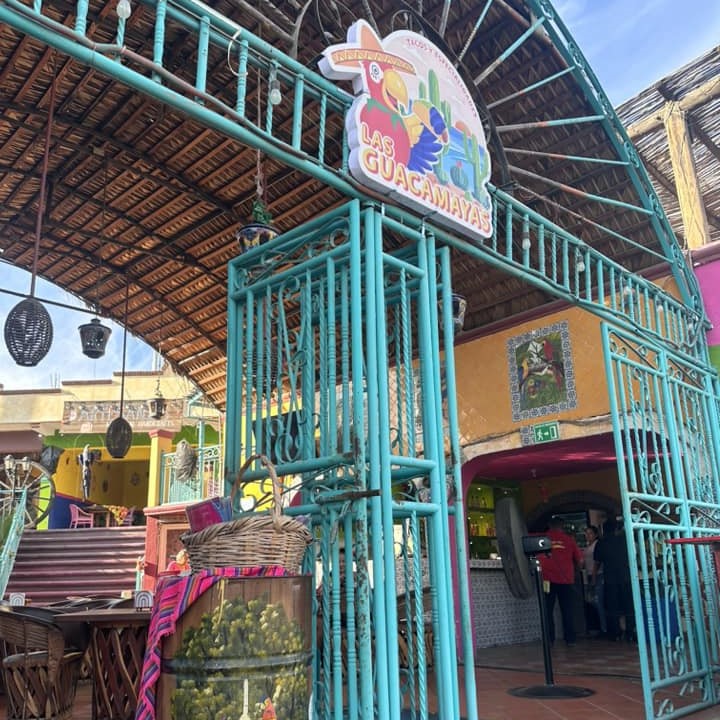 Las Guacamayas Cabo San Lucas 9