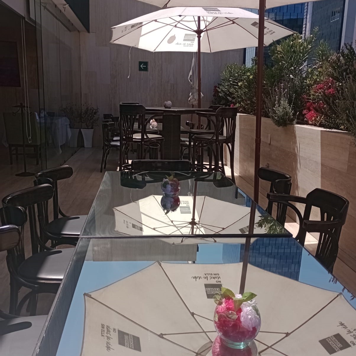 Rooftop Grupo Jama Insurgentes 23