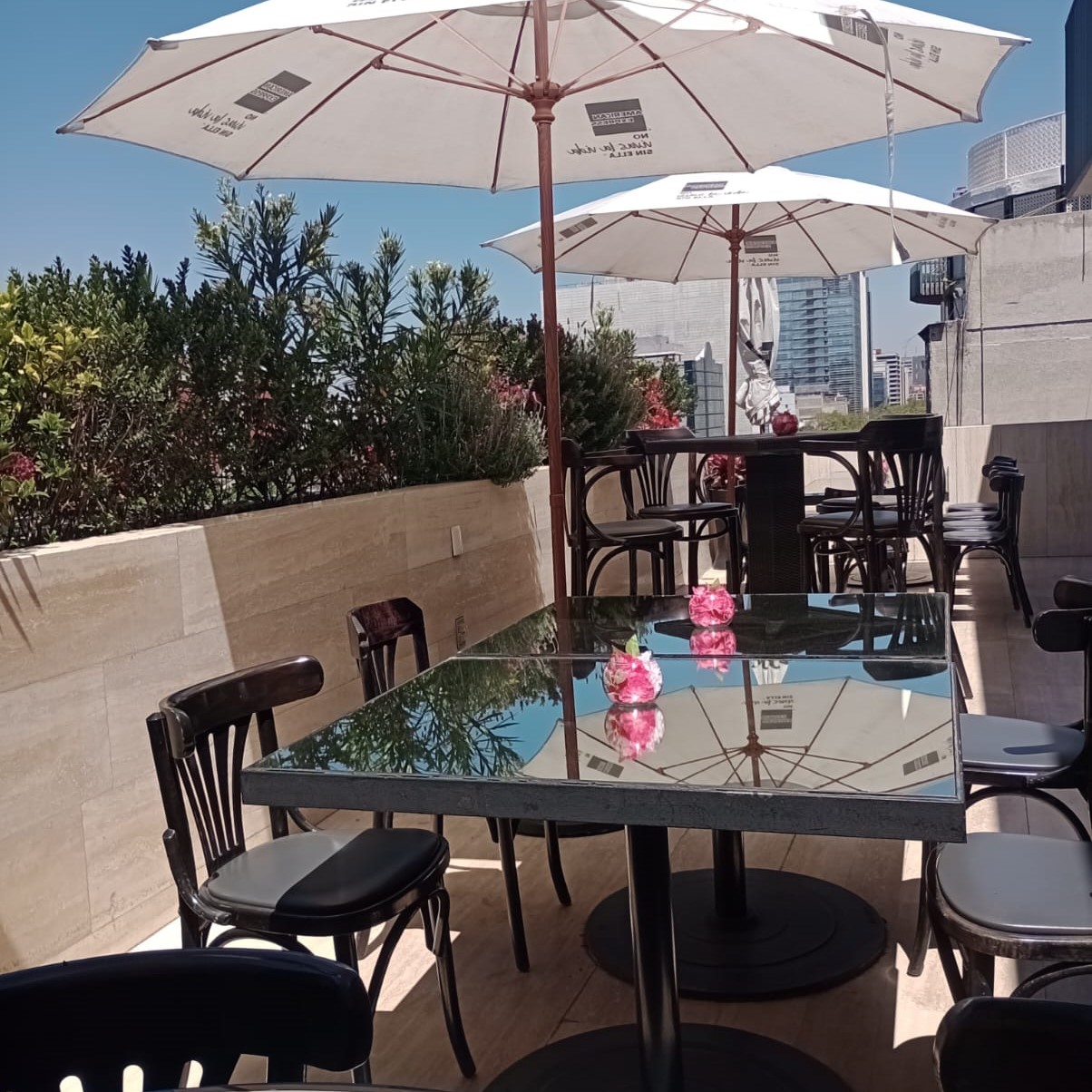Rooftop Grupo Jama Insurgentes 15