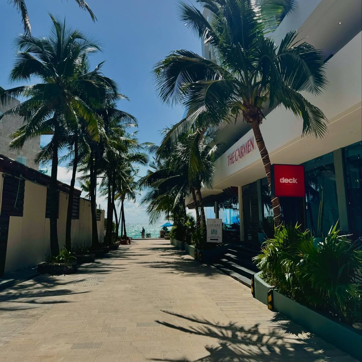 Sandbar Playa del Carmen 14