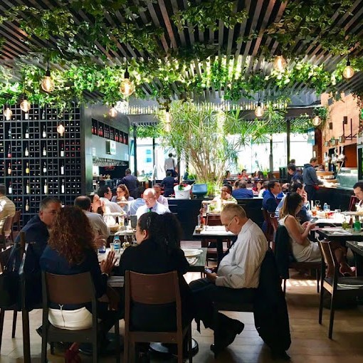 50 Friends Arcos Bosques 6