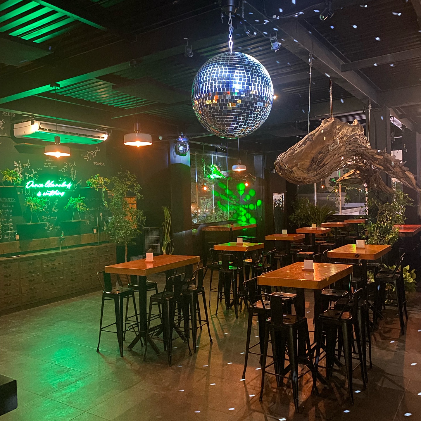 Dalton Gin Bar San José del Cabo 7