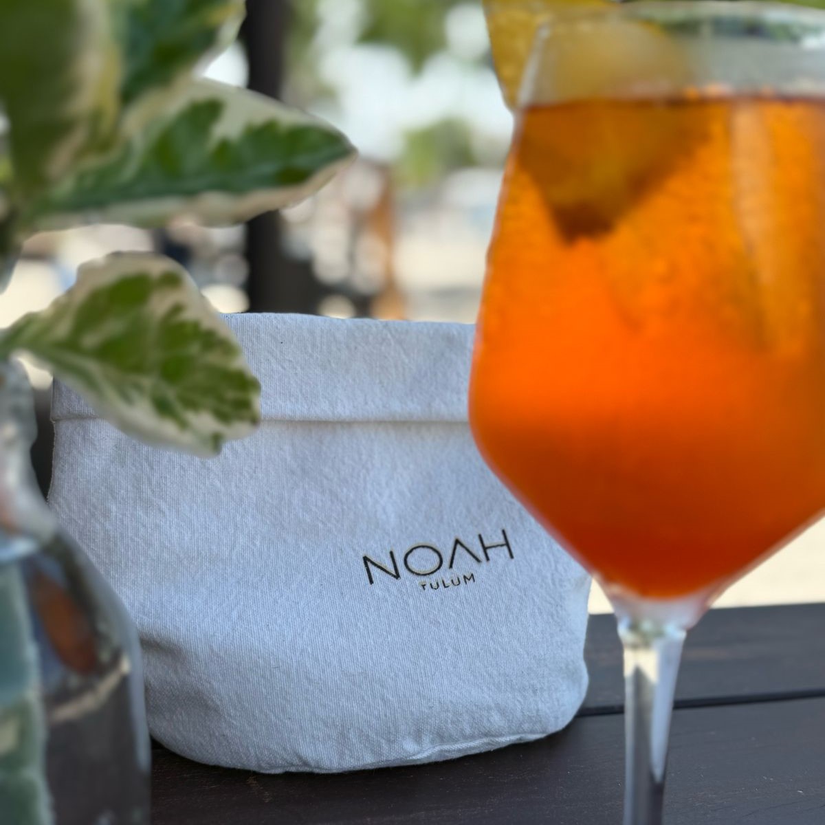 Restaurante Noah Tulum 22