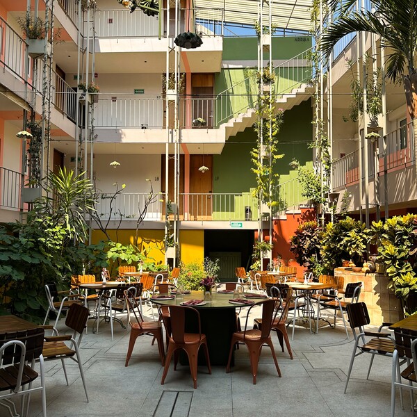 Bule Restaurante Cuernavaca 17
