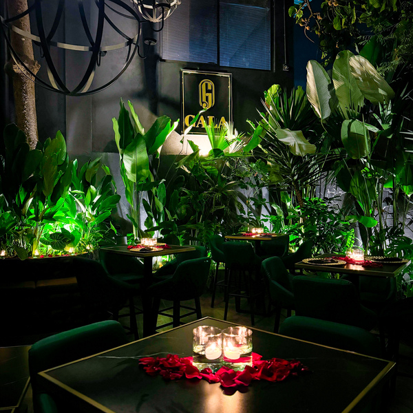Restaurante Gala Medellín 37