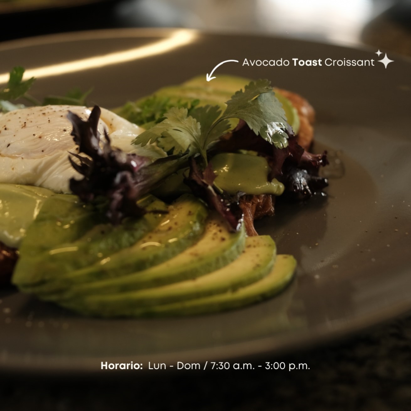 Social Bistro Mérida 12