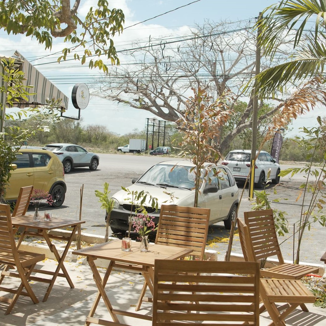 Social Bistro Mérida 13