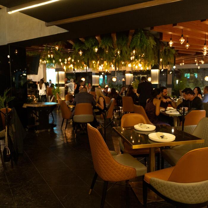 SONO Rooftop CDMX 31