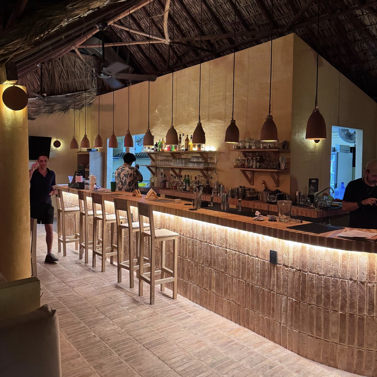 La Rinconada Puerto Escondido 11