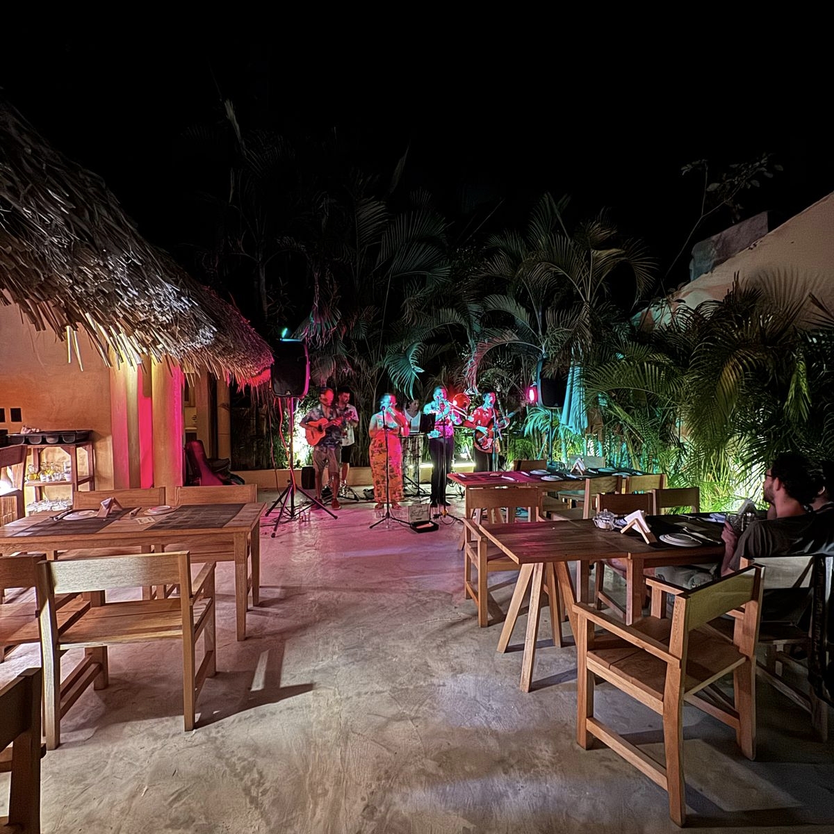 La Rinconada Puerto Escondido 7