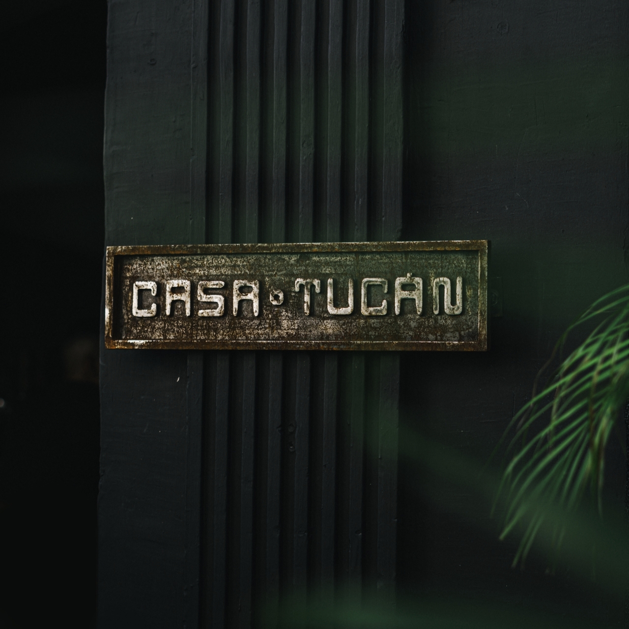 Casa Tucán Bistro Bar Santa Marta 9