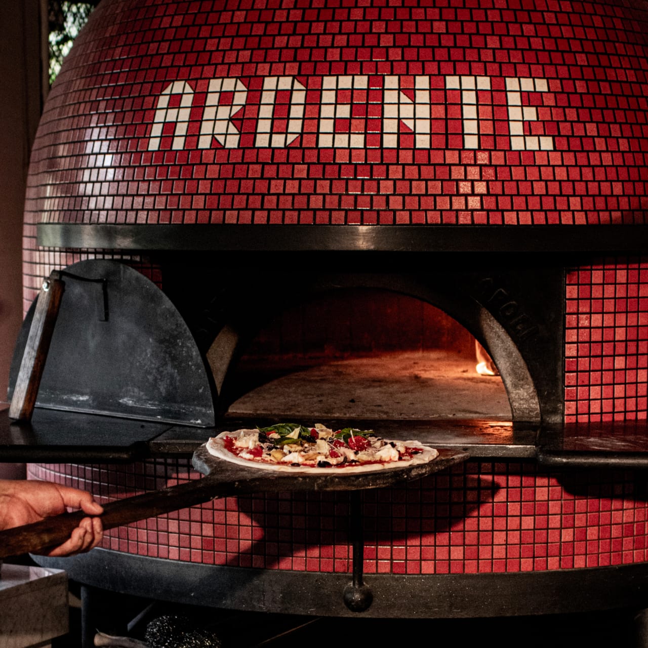 Ardente Pedregal  18