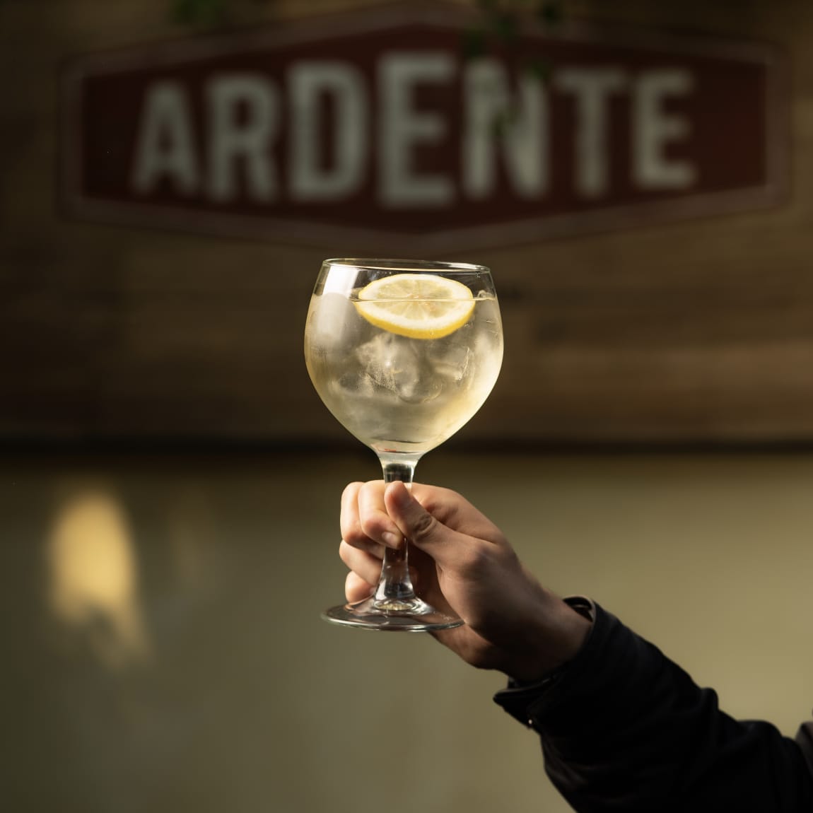 Ardente Pedregal  11