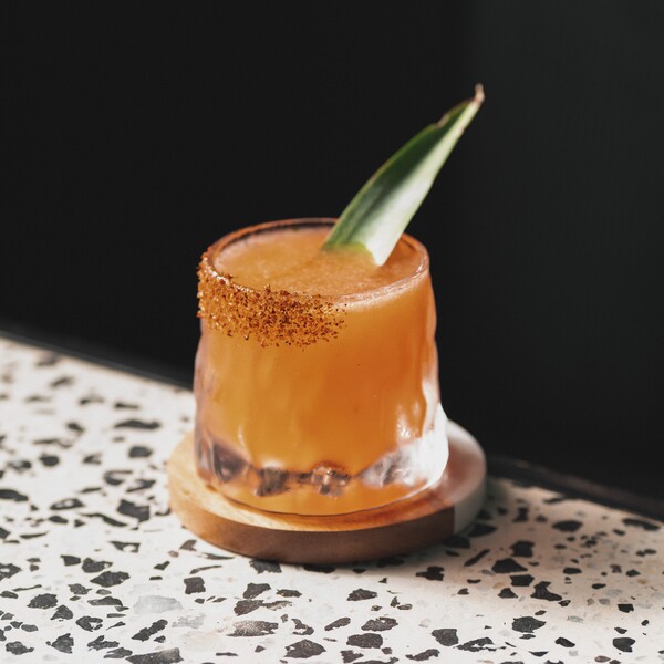 Rosa Mezcal Cartagena 13
