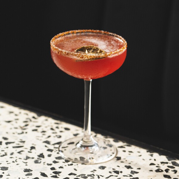 Rosa Mezcal Cartagena 5