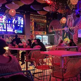 Cocos Litros Alameda 13