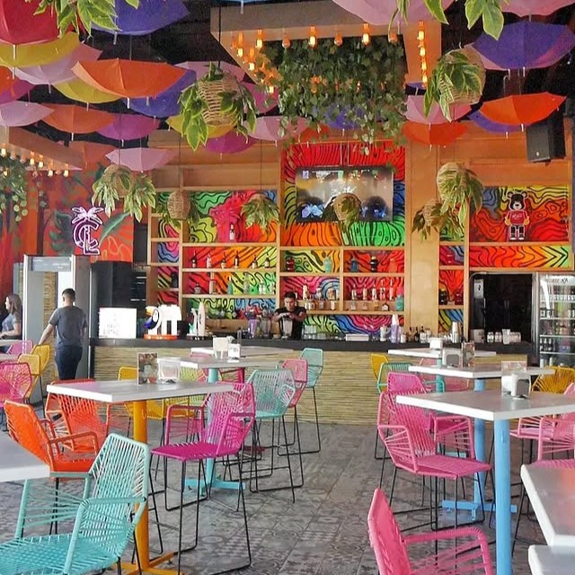 Cocos Litros Alameda 7
