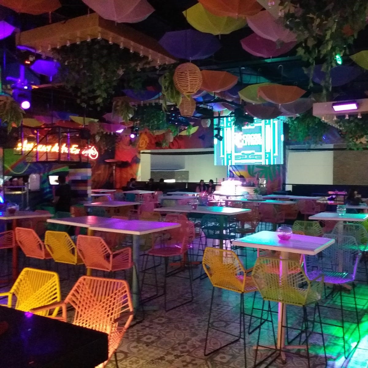 Cocos Litros Alameda 24