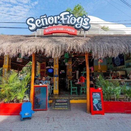 Señor Frog's Quinta Avenida 10