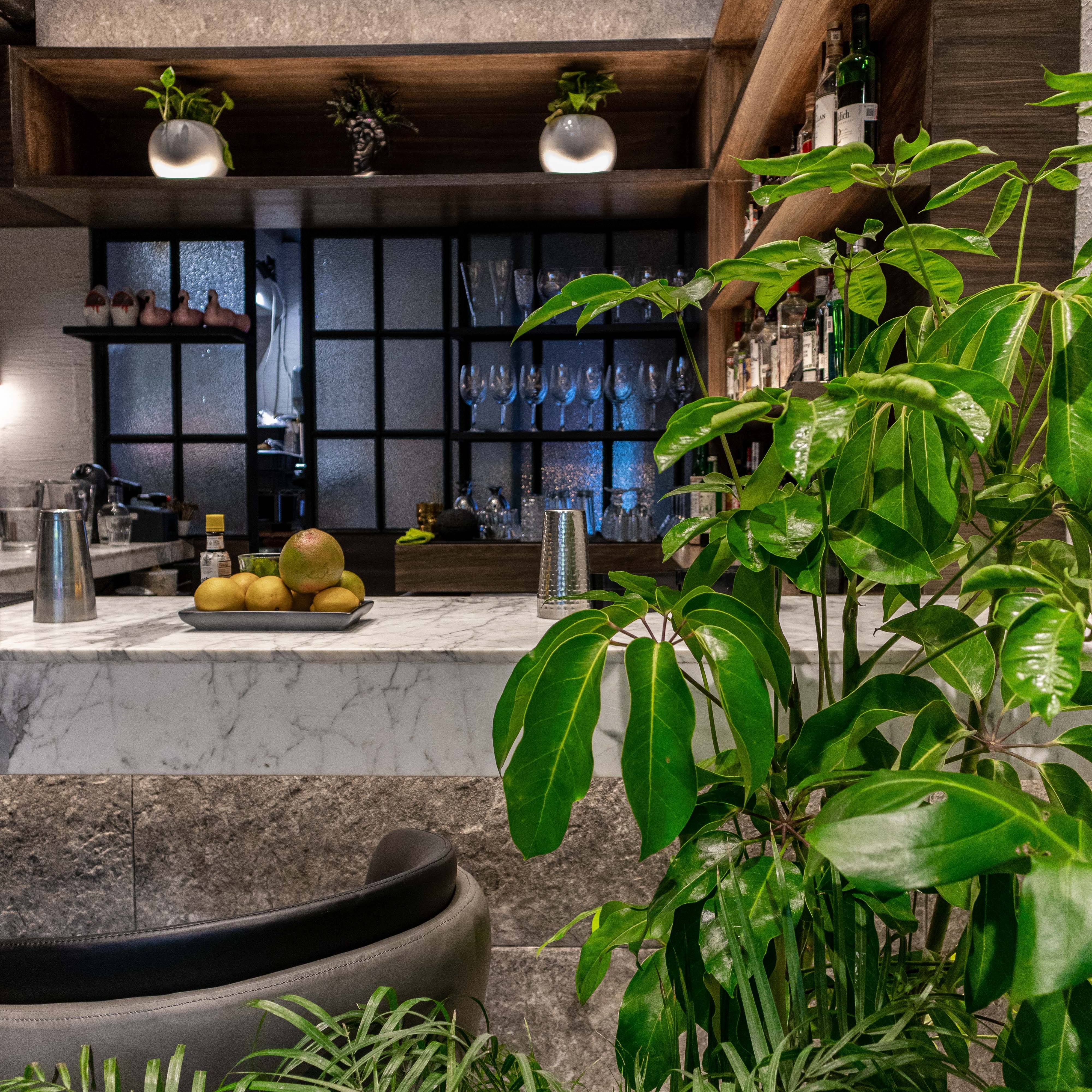 BLACK LEGEND Condesa 10