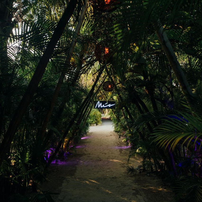 Mía Beach Club Tulum 5