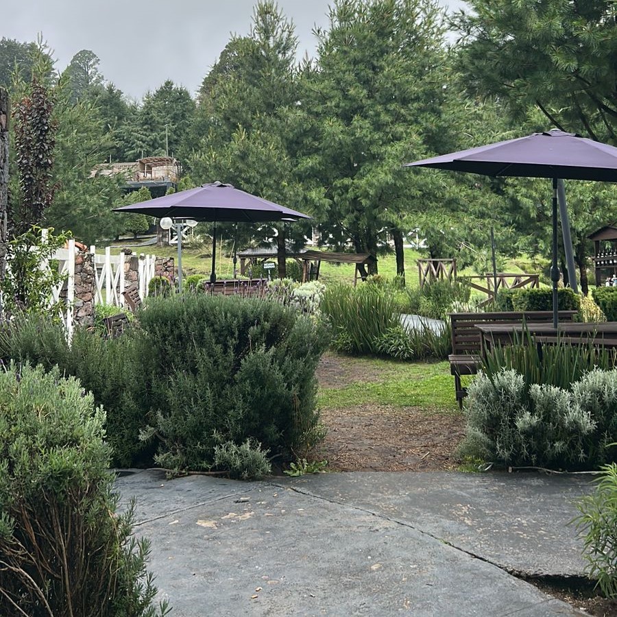 Restaurante Don Petro Tlalpan 9