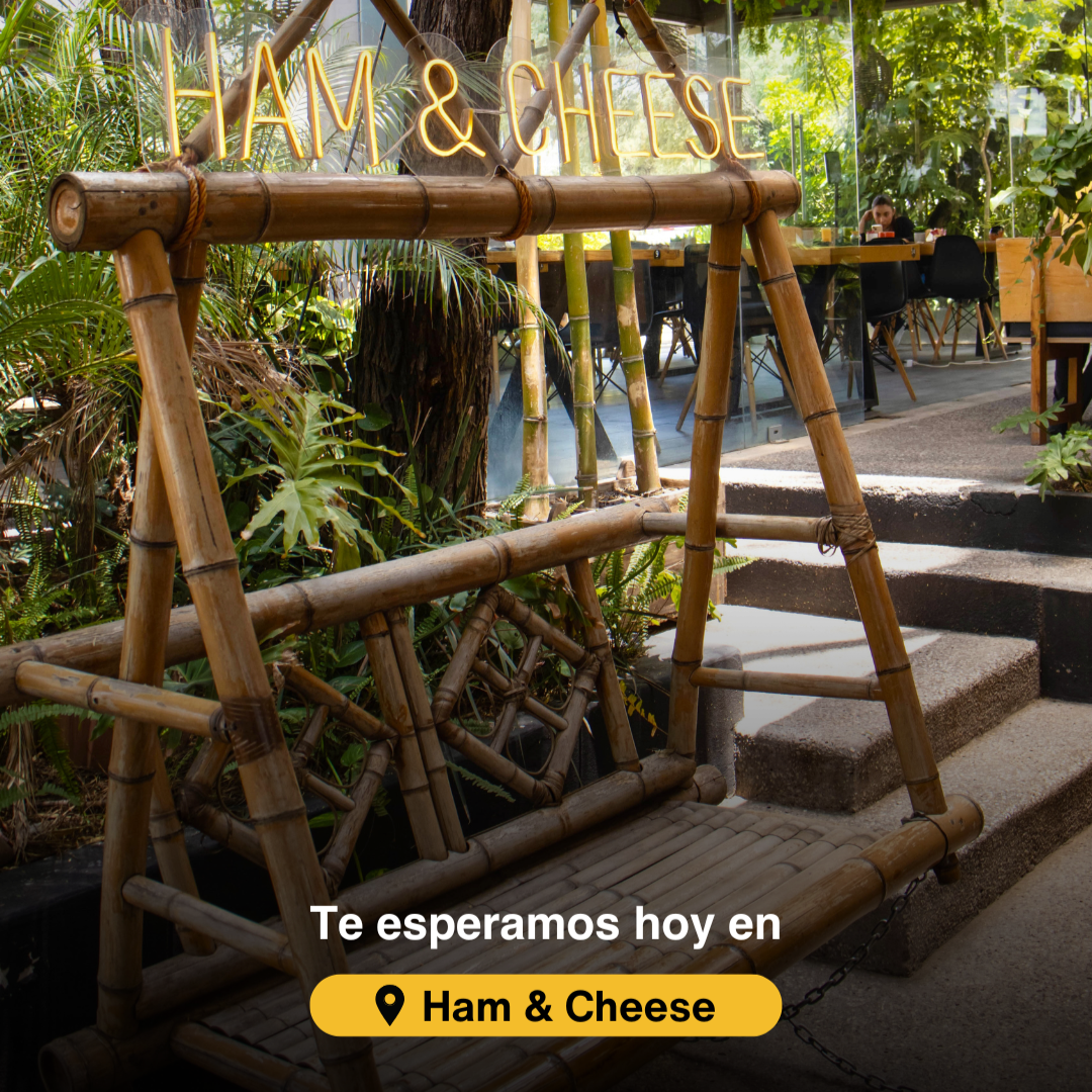 Ham and Cheese Aguascalientes 8