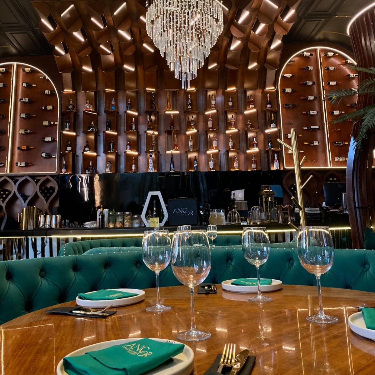 ANCOR International Cuisine Tijuana 15