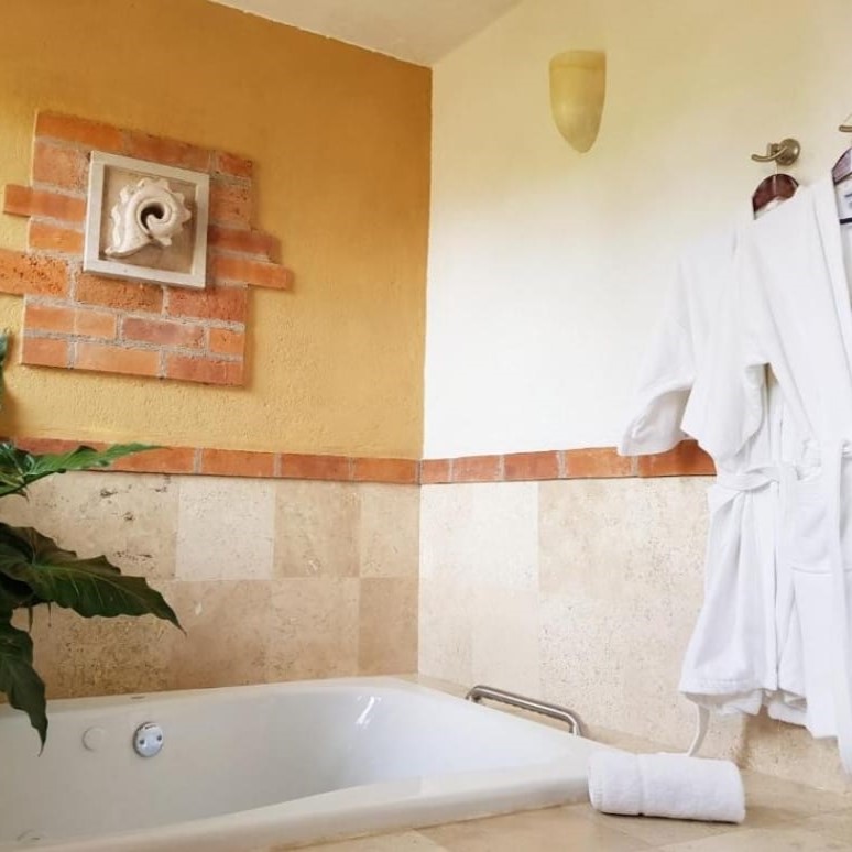 Casa Aurea Morelia 29