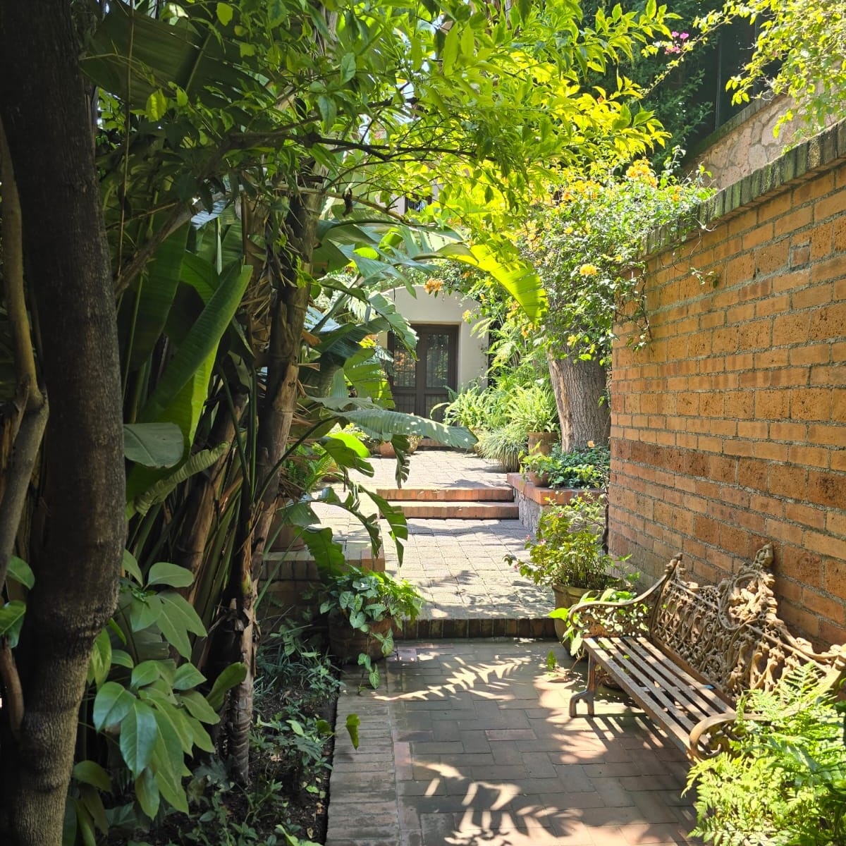 Casa Aurea Morelia 15