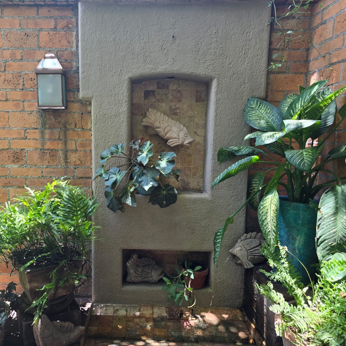 Casa Aurea Morelia 23